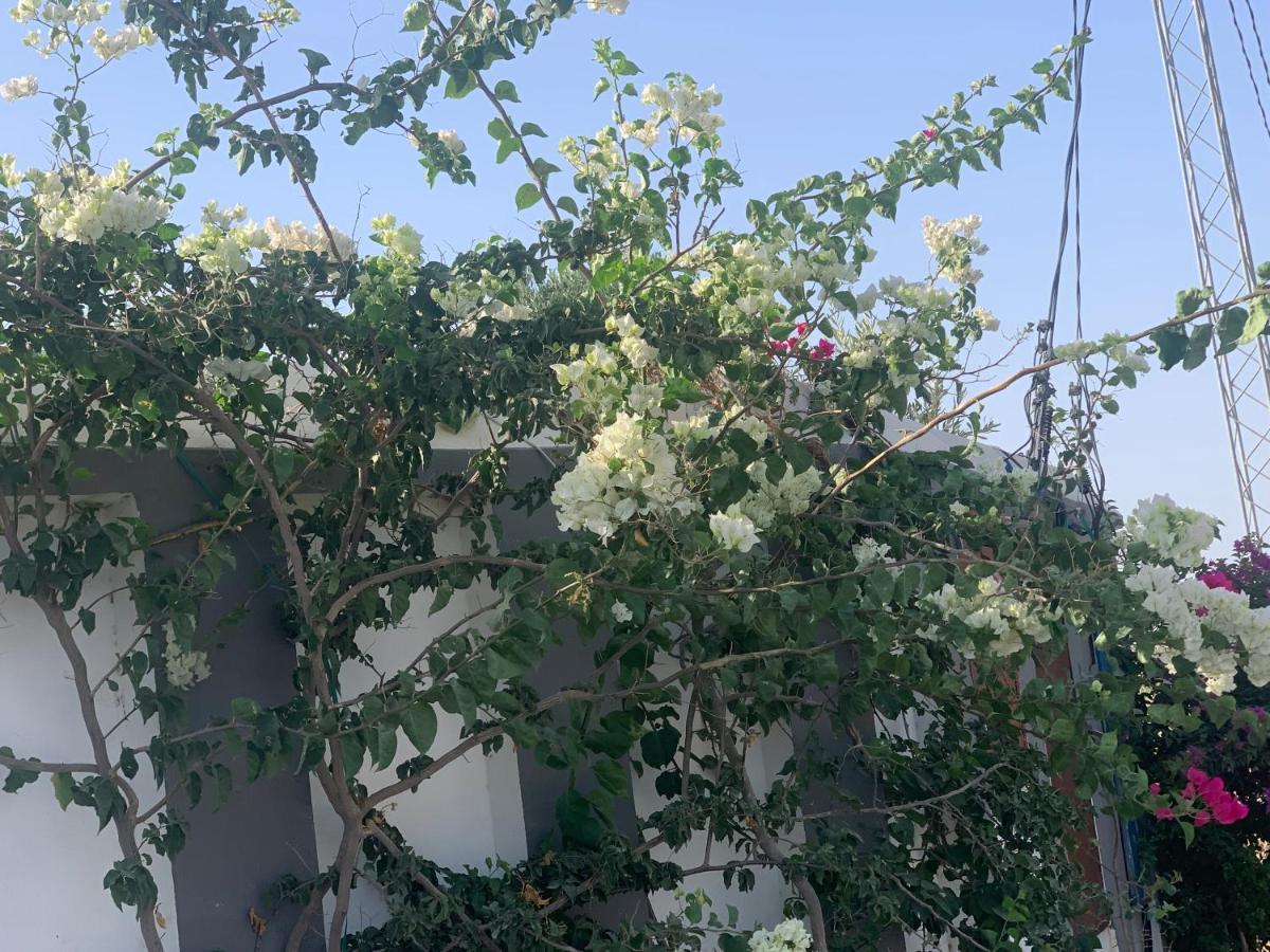 Villa Olivia, Yasmine Hammamet, Bouficha Luaran gambar
