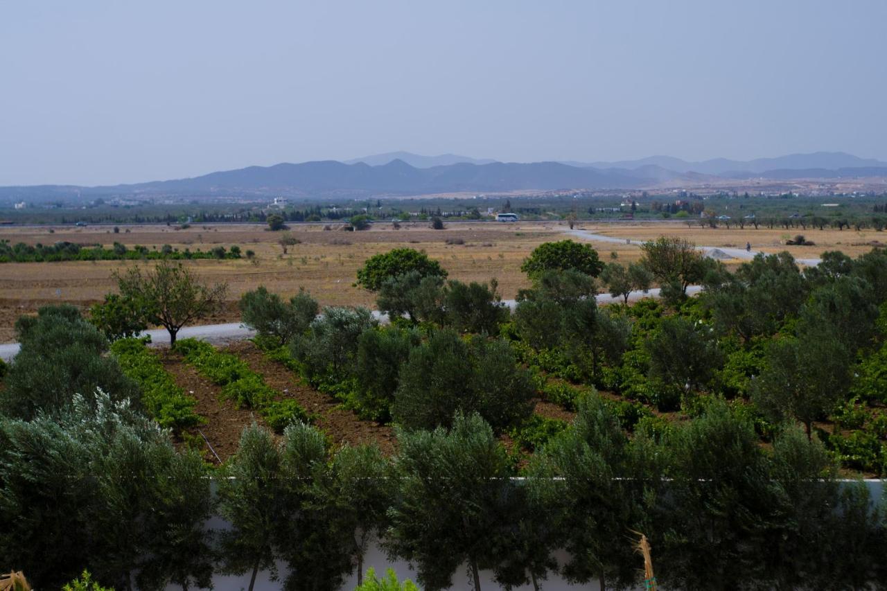Villa Olivia, Yasmine Hammamet, Bouficha Luaran gambar