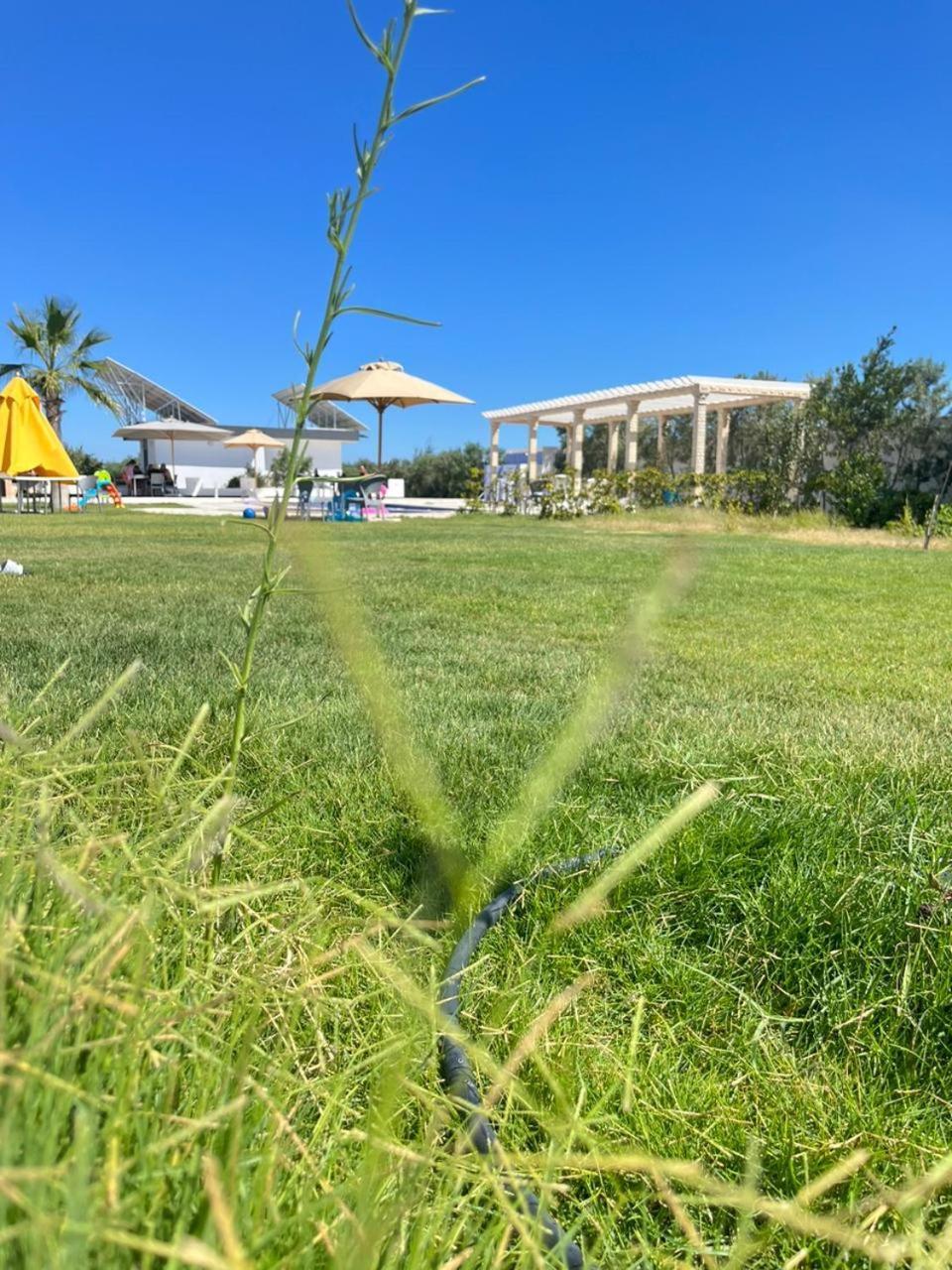 Villa Olivia, Yasmine Hammamet, Bouficha Luaran gambar