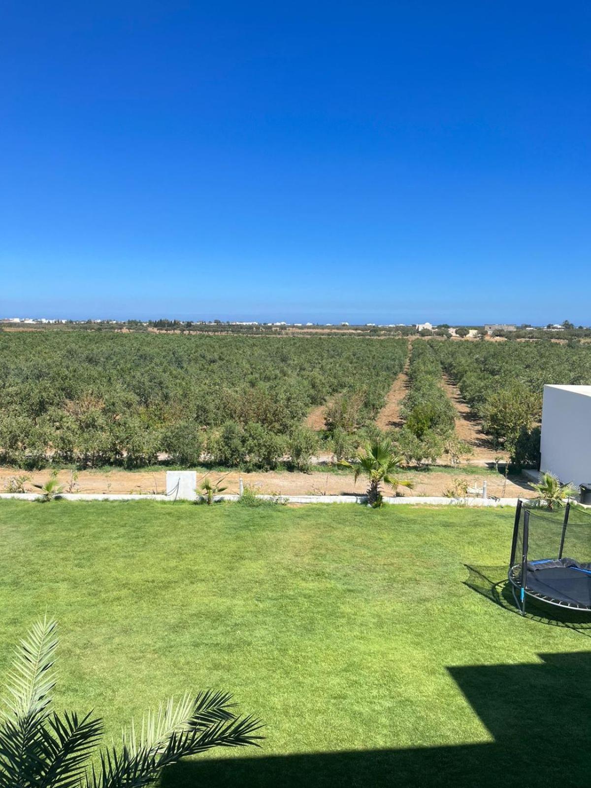 Villa Olivia, Yasmine Hammamet, Bouficha Luaran gambar