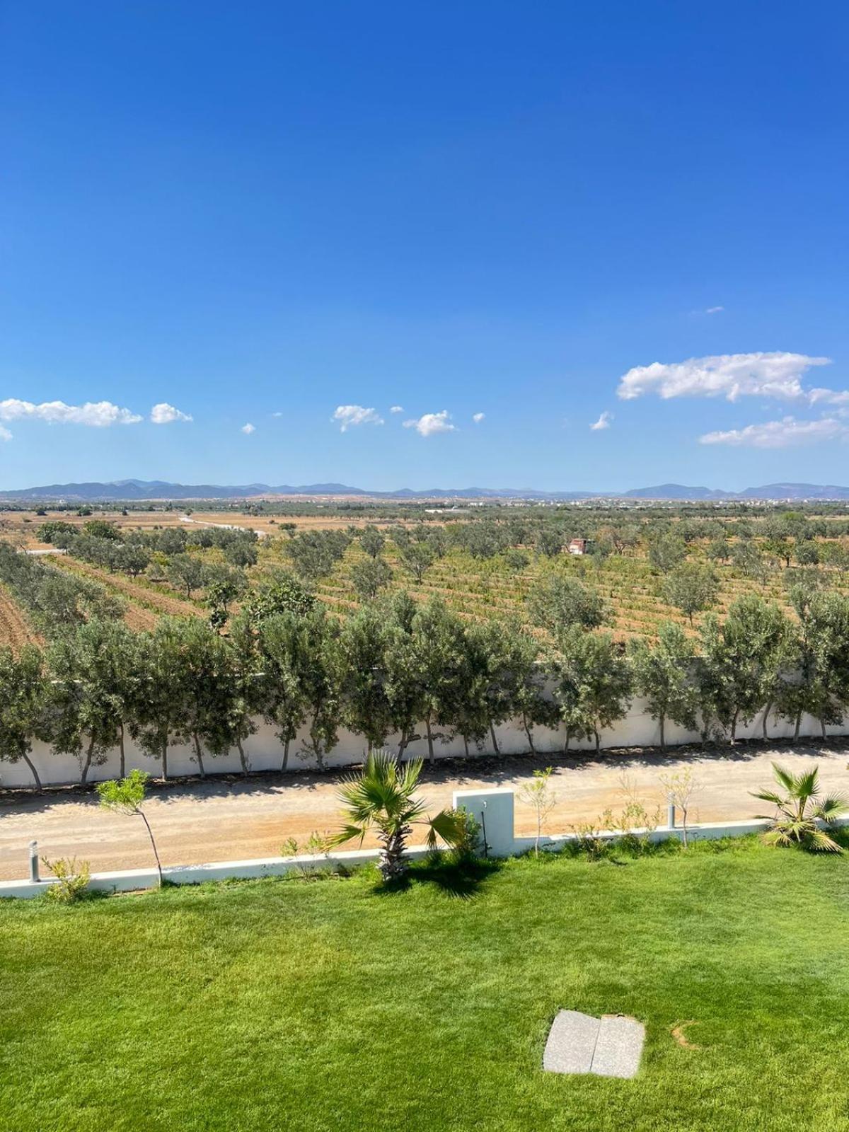 Villa Olivia, Yasmine Hammamet, Bouficha Luaran gambar